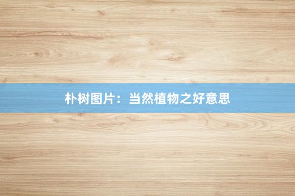 朴树图片：当然植物之好意思